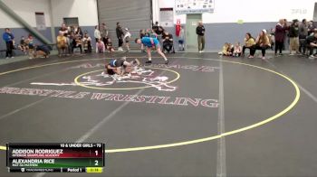 73 lbs Quarterfinal - Addison Rodriguez, Interior Grappling Academy vs Alexandria Rice, Mat-Su Matmen