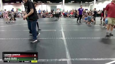 56 lbs Round 5 (8 Team) - Cooper Cerefice, PA Alliance vs Eliace Majka, Black Fox Wrestling