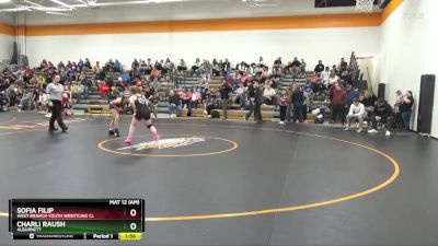 J-3 lbs Round 4 - Sofia Filip, West Branch Youth Wrestling Cl vs Charli Raush, Alburnett