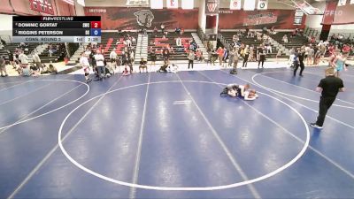 113 lbs Cons. Round 2 - Dominic Gortat, Stallions Wrestling Club vs Riggins Peterson, Declo Stingers