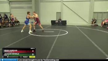 195 lbs Semis & 1st Wrestleback (8 Team) - Adam Haselius, Michigan Blue vs Jackson Dewald, Iowa