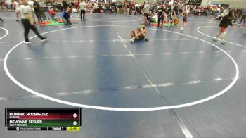 126 lbs Champ. Round 2 - DeVonne Sesler, South Dakota vs Dominic Rodriguez, Florida