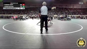 B3A-126 lbs 3rd Place Match - Carson Avery, Perry vs Aaron Blevins, Salina