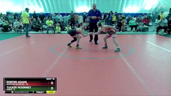 90 lbs Round 5 (8 Team) - Porter Adams, Backyard Brawlers vs Tucker McKinney, FORGE