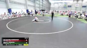 100 lbs 4th Wrestleback (16 Team) - Salvatore Borrometi, New Jersey vs Brock Johnson, Kansas Blue