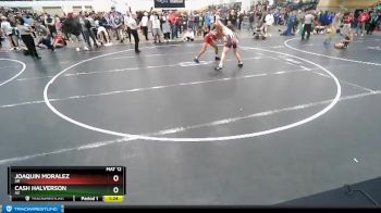 132 lbs Champ. Round 2 - Joaquin Moralez, AR vs Cash Halverson, AZ