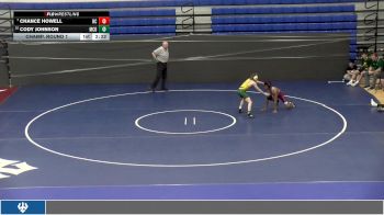 125 lbs Champ. Round 1 - Chance Howell, Roanoke College vs Cody Johnson, McDaniel College