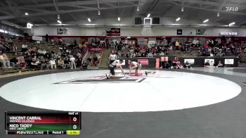 157 lbs Cons. Semi - Vincent Cabral, Western Colorado vs Nico Taddy, West Liberty