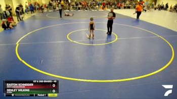 45 lbs Round 4 - Denley Wilking, LCWM vs Easton Schneider, New London/Spicer