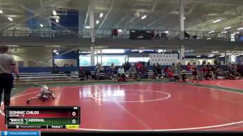 60 lbs Round 3 (8 Team) - *Brock *Cardinal, Barberton vs Dominic Childs, Mentor