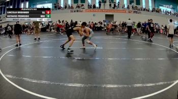 132 lbs Champ. Round 2 - Octavio Pedroso, Winter Haven High School vs Lincoln Brehmer, Yulee