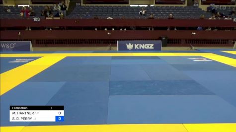 JUSTIN AVERETTE TURNER vs FRANCISCO EDUARDO ALVES COST 2024 Pan IBJJF Jiu-Jitsu No-Gi Championship