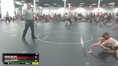 68 lbs Round 2 (4 Team) - Gavin Miller, Quaker Maroon vs Noah Kalebek, Revolution