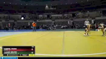 105 lbs Quarterfinals (8 Team) - Gabriel Morin, Bemidji vs Cassen Brumm, Annandale/Maple Lake