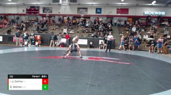 133 lbs Champ. Round 1 - Jackson Collins, Tiffin vs Ryan Wehner, Lake Erie