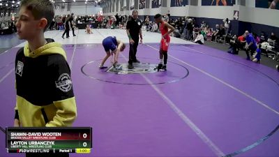 110 lbs Quarterfinal - Layton Urbanczyk, Liberty Hill Wrestling Club vs Shawn-David Wooten, Brazos Valley Wrestling Club