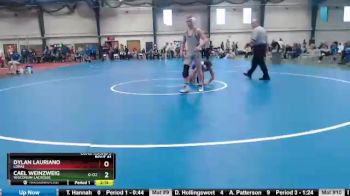 125 lbs Cons. Round 3 - Cael Weinzweig, Wisconsin-LaCrosse vs Dylan Lauriano, Loras