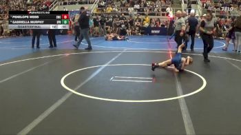 45 lbs Quarterfinal - Penelope Webb, Swanton Wrestling Club vs Gabriella Murphy, Springboro