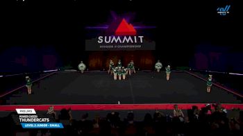 Power Cheer! - ThunderCats [2025 L2 Junior - Small Prelims] 2025 The D2 Summit