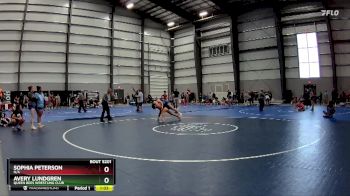 180 lbs Round 4 - Avery Lundgren, Queen Bees Wrestling Club vs Sophia Peterson, N/A