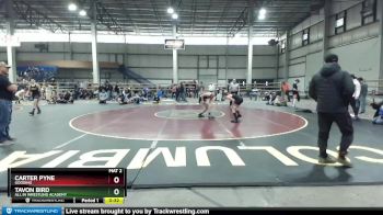 110 lbs Cons. Round 5 - Tavon Bird, All In Wrestling Academy vs Carter Pyne, Gooding