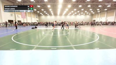 182 lbs Consi Of 32 #2 - Shane Sughrue, MA vs Ethan Leidig, NY