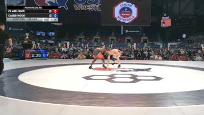 126 lbs Cons. Rd Of 128 - CJ Williams, South Carolina vs Caleb Hood, Arizona