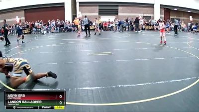 140 lbs Round 2 - Landon Gallagher, Ohio Gold vs Aidyn Erb, Unattached