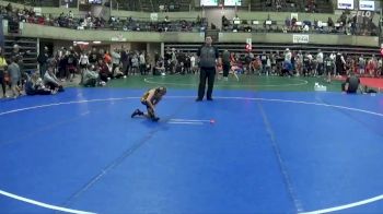 65 lbs Round 4 - Mariella Masso, Summit Wrestling Academy vs Ellinor Statz, Pardeeville Boys Club