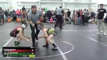 80 lbs Finals (2 Team) - Ethan Bosco, Mullet Army vs Dylan Bateman, Revival Y