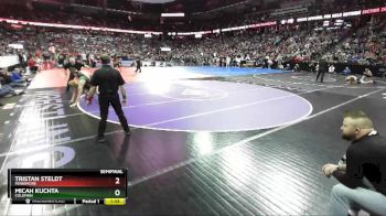 D3-160 lbs Semifinal - Tristan Steldt, Fennimore vs Micah Kuchta, Coleman