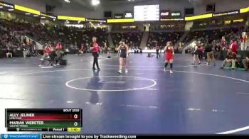 120 lbs Quarterfinal - Mariah Webster, Colfax-Mingo vs Ally Jelinek, Linn-Mar