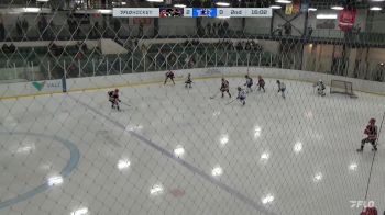 Replay: Home - 2024 Cougars U18 AAA vs Norman U18 AAA | Feb 25 @ 1 PM