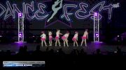 Dynasty Dance Studio [2026 Tiny - Intermediate - Jazz Day 2] 2026 DanceFest Grand Nationals
