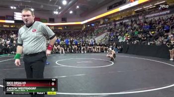 106 lbs Quarterfinal - Nico DeSalvo, Southeast Polk vs Cayson Westendorf, Waverly-Shell Rock