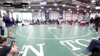 120 lbs Round Of 32 - CJ Caines, Mat Assassins vs Kelly Sullivan, Blue Wave