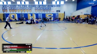 126 Gold Round 4 - Roberto DeJesus, Lake Gibson vs Cameron Haines, South Dade