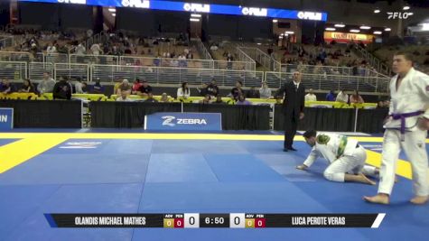Luca Perote Veras vs Olandis Michael Mathes 2025 Pan Jiu Jitsu IBJJF Championship