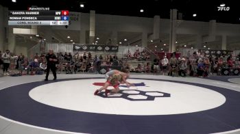 45 lbs Cons. Round 3 - Dakota Harmer, Michigan Premier WC vs Roman Fonseca, Daniel Cormier Wrestling Club