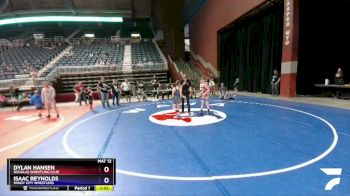 78 lbs 3rd Place Match - Dylan Hansen, Douglas Wrestling Club vs Isaac Reynolds, Windy City Wrestlers