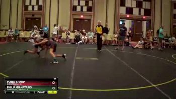91 lbs Quarterfinals (8 Team) - Philip Gianatasio, Steel Valley Silver vs Marie Sharp, Dark Angels