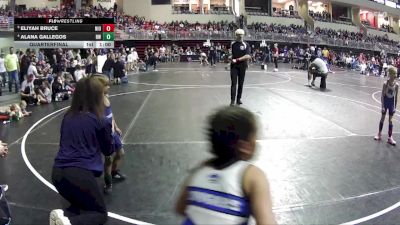 41-44 lbs Quarterfinal - Eliyah Bruce, Niobrara/Verdigre vs Alana Gallegos, Roughrider Wrestling