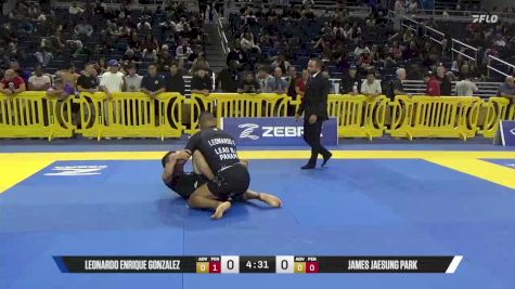 James Jaesung Park vs Leonardo Enrique Gonzalez 2025 Pan IBJJF Jiu-Jitsu No-Gi Championship