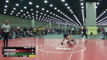 141 lbs Cons. Round 5 - Cj Shadinger, Reinhardt University (GA) vs James Balazy, Lourdes University