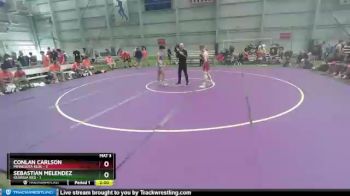 145 lbs Quarterfinals (8 Team) - Conlan Carlson, Minnesota Blue vs Sebastian Melendez, Georgia Red