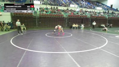 157 lbs Quarterfinal - Benjamin Bullard, Walhalla vs Jace Devlin, Crescent