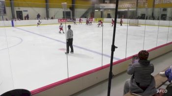 Replay: Home - 2023 Greyhounds U12 vs NY Rangers U12 | Nov 24 @ 11 AM