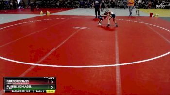 60 lbs Quarterfinal - Russell Schlagel, HLWW vs Gideon Romano, LSH (LeSueur/Henderson)