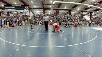 165 lbs Quarterfinal - Logan Brizzee, Battle Mountain vs Gunner Egge, Indian Springs