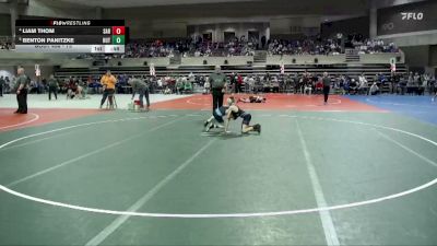 75 lbs Quarterfinal - Benton Panitzke, Hutchinson vs Liam Thom, Sartell